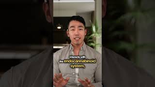 Exploring the Hypothetical Link Between Tylenol and Autism #Tylenol #Acetaminophen #Endocannabinoid