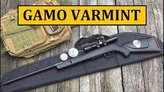 Gamo Varmint Pellet Rifle ($90), Budget Friendly Air Gun Series (1250FPS) Review