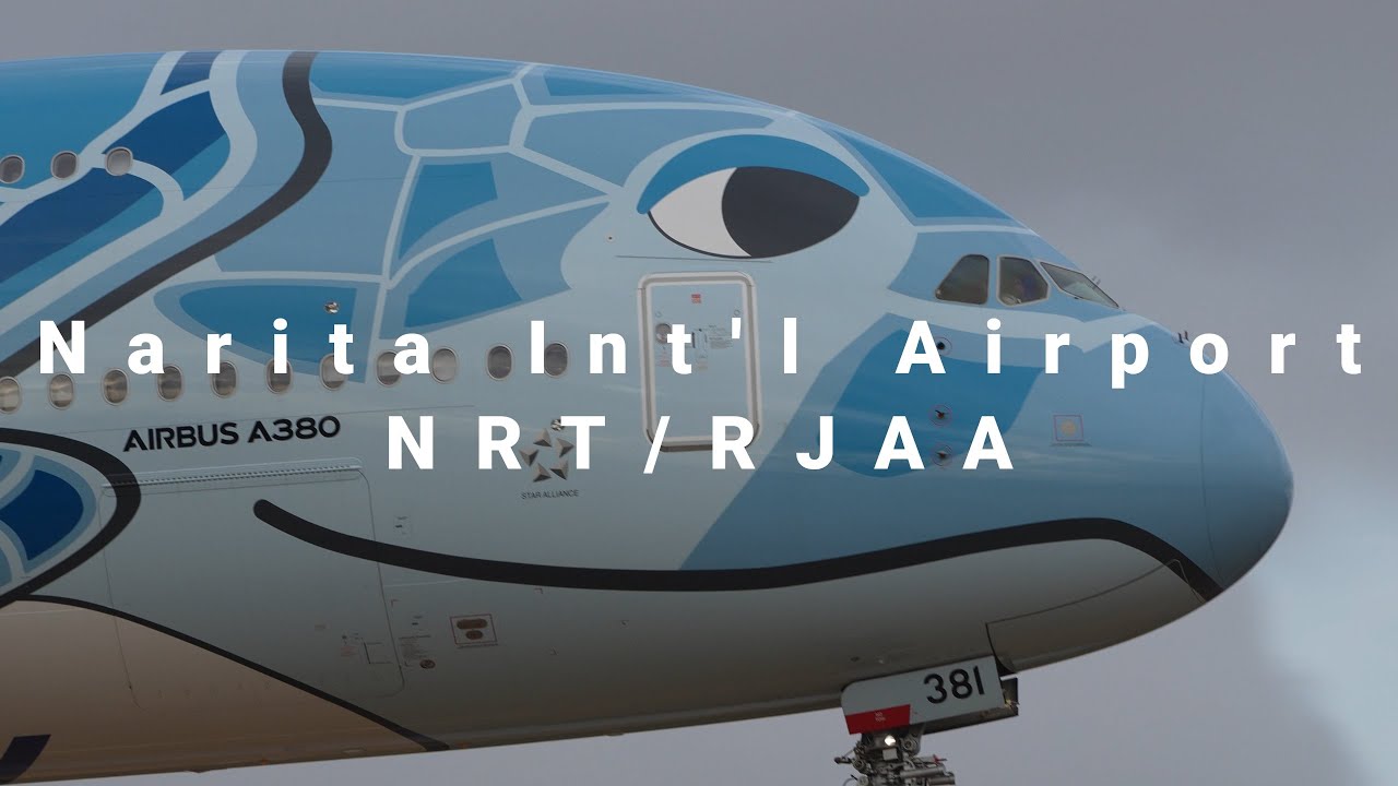 JAL 金の鶴丸とワンワールド塗装の787 | Golden Tsurumaru