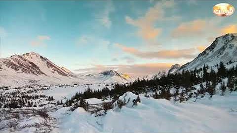 ماتيسر من اواخر سورة الفرقان تلاوة تهز القلوب لقارئ حماد عزي حفظة الله تعالي