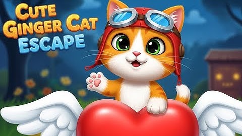 G4K Cute Ginger Cat Escape Game| Games4King Walkthrough