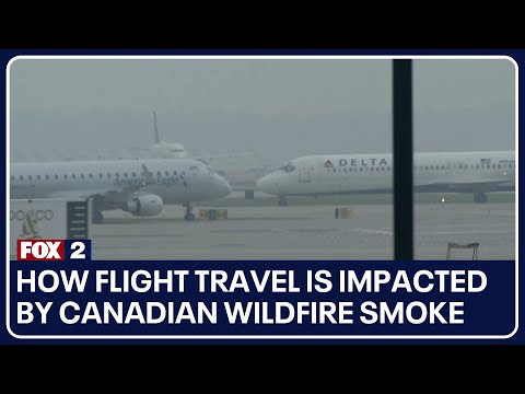 How flight travel