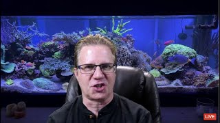 Lets Talk about Cyanobacteria