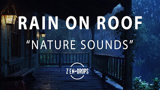 Rain Falling on Roof Sounds for Sleeping 🌧️ Sleep Instantly with The Sound of Rain & Birds Singing.