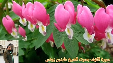 قراءة خاشعة سورة الفاتحة مع ما تيسر من سورة الكهف بصوت الشيخ عابدين يونس من صلاة الفجر