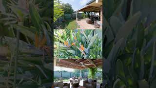 16/1-3 Freda Street, ASHMORE QLD 4214  #goldcoastrealestate #goldcoastrealestateagent #realestate
