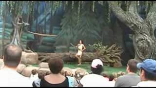 Pocahontas And Her Forest Friends 1