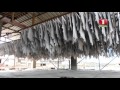 Мебельный салон: история эксклюзива. Истории ремонта.