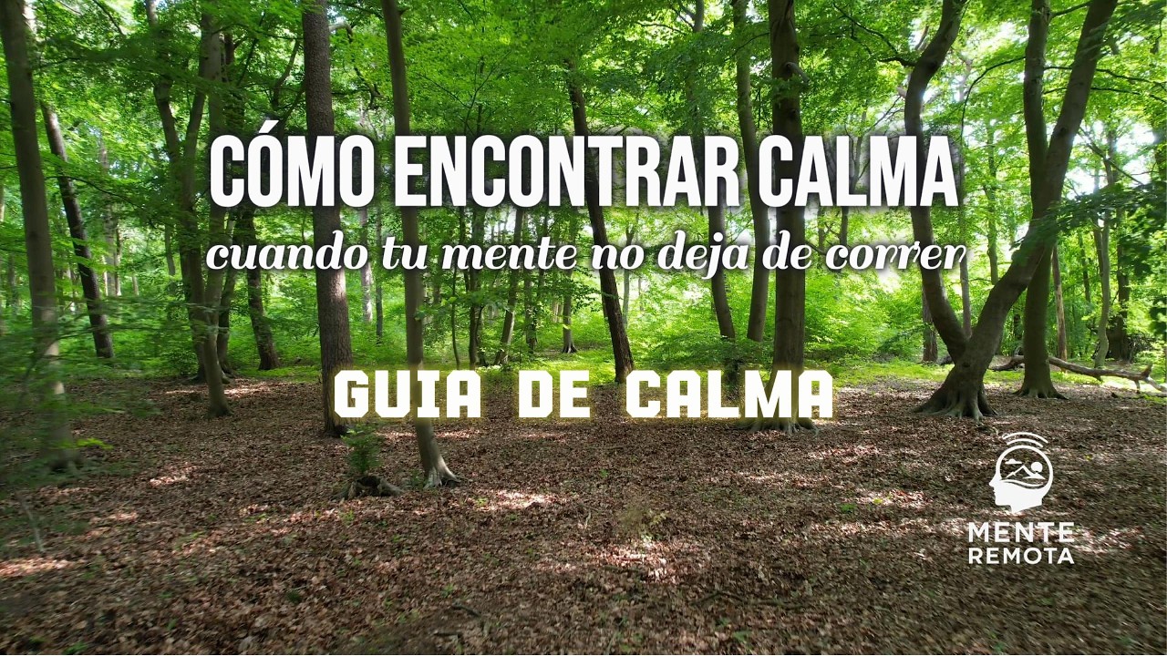 Cómo encontrar calma cuando tu mente no deja de correr | Guía de 5 ...