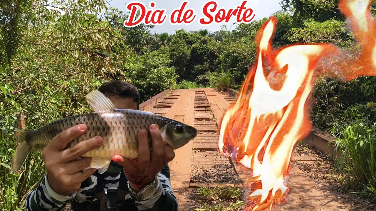 DIA DE SORTE #piau #sapofolha #frog #rio #pesca #fish #natureza #camp #lambari #piaba #fruta #river