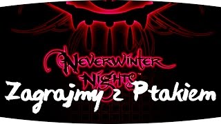 #2 Zagrajmy w Neverwinter Nights - Początek przygody! [Lets play PL Ptak Online]