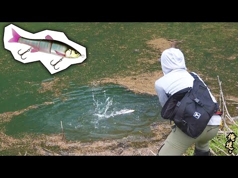 ULTRACARP　威嚇バス Spring Big Bass Festival] Shocking bites in succession! This