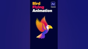 Bird Animation Tutorial in After Effects #animation #tutorial #motiongraphics #aftereffects