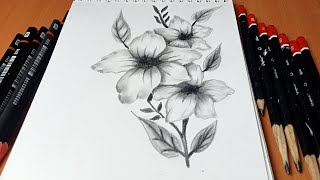 أسرار فن رسم الزهور: كيفية رسم وردة رائعة ، الرسم بالرصاص سهل