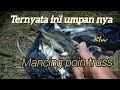 Mancing ikan di hulu sungai  rio saputra asm umpanjitu