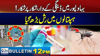 12PM News Bulletin | 31 Oct 2025 | Rohi