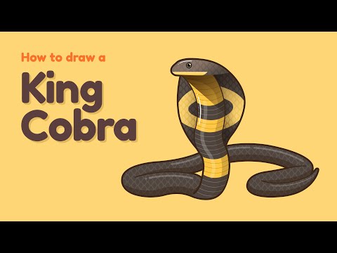 Video: Hur Man Ritar En Kobra