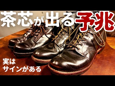 茶芯出現の予兆とは！！レッドウィングを5年以上履き込んだ実体験をも