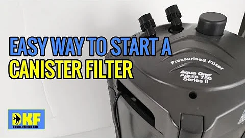 Start canister filter easiest way - no need to prime.