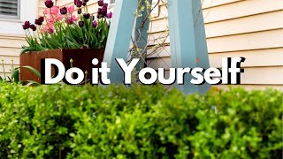 classic boxwood hedge for your garden (3 years later) by Soil and Margaritas | Home Gardener 4,192 views 1 month ago 8 minutes, 14 seconds