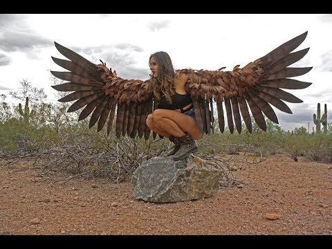 Giant harpy feather