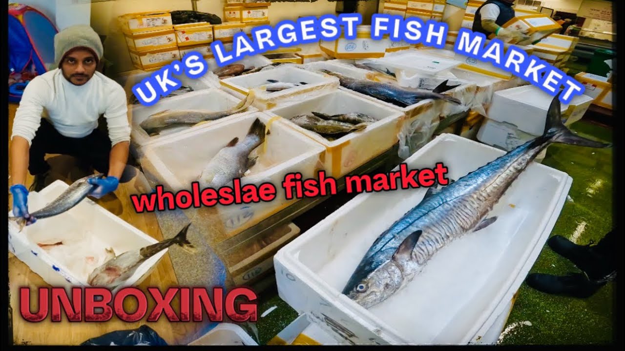 ഇത്രക്കും ലാഭമാണൊ?Day in UK’s Largest Fish Market\Billingsgate Fish