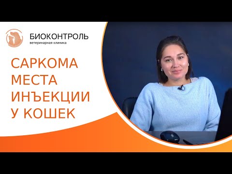 Видео: Фибросаркома, связанная с вакцинацией, разочаровывающая - саркомы в месте инъекции (ISS) у кошек