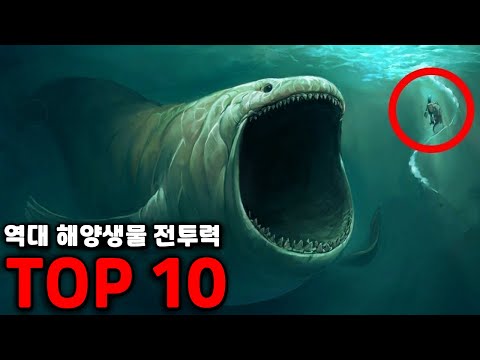 역대 최강의 해양 생물 순위 TOP10