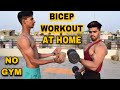 Beginner bicep workout at home no gym top 4 exercises at home