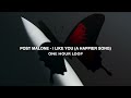 Post Malone - I Like You (A Happier Song) 1 hour loop/repeat