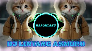 DJ LINTANG ASMORO X PARGOY Viral Tiktok