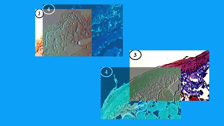 CCB668300ABDAE33925325A6CBDC4F#1