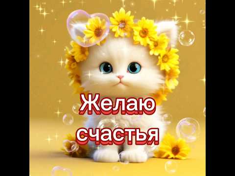 Желаю счастья и солнечного настроения! #пожелания #реки #2024