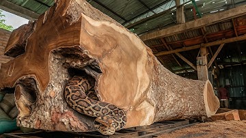 Woodworking Shock ‼ Strange Patterns Found Inside This Trembesi Log