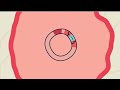 Review of Recombinant DNA Technology