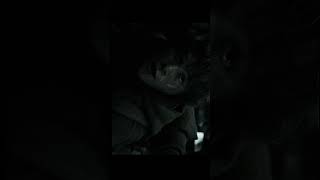 Widescreen to Open Matte: Would you watch Lord of the Rings this way?