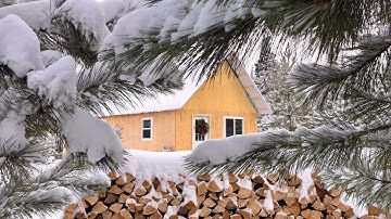 Off Grid Cabin Cozy Winter Snowstorm: Tracking A Wolf By The Cabin 