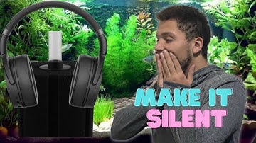 How To: Make a Sponge Filter Quieter