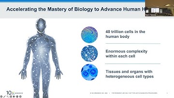 Single Cell Spatial Transcriptomics: 10x Genomics Xenium