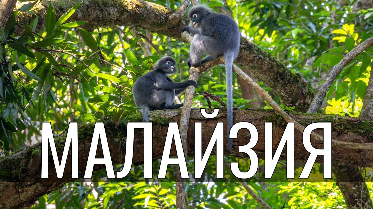 Малайзия удивила. Автопутешествие по непопулярным локациям и остров Лангкави.