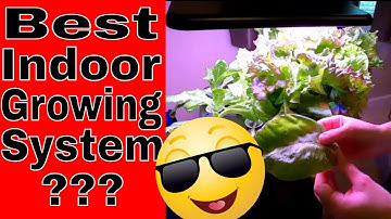 MUFGA Indoor Hydroponic Growing System Review And How To Use