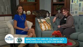 Cat Care Society on Mile High Living: Global Cat Day 2023