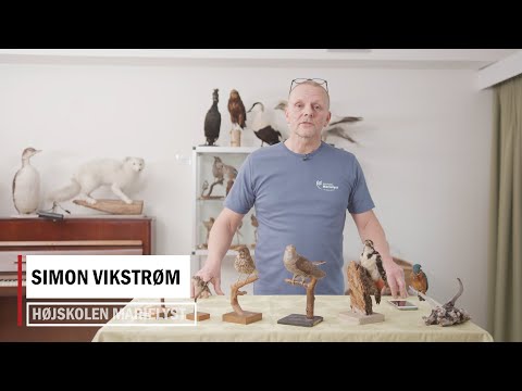 Video: Prototypene Til Fuglen Rukh - Alternativt Syn