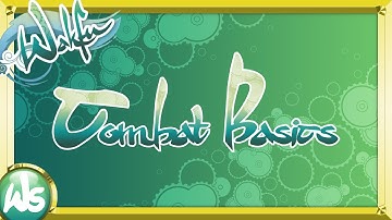 Wakfu: Combat Basics