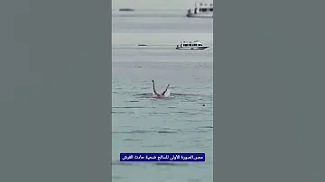 مصر الصورة الأولى للسائح ضحية حادث القرش 