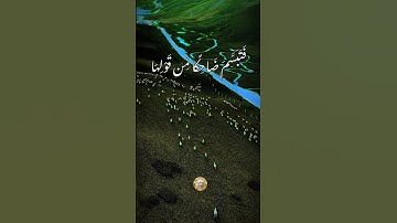 فتبسم ضاحكا من قولها و قال رب أوزعني أن أشكر نعمتك  / سورة النمل