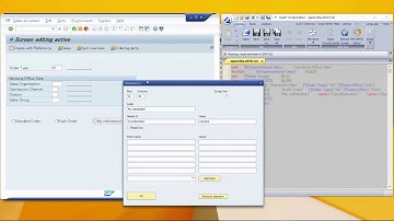Editor to Simplify Transaction VA01 on SAP GUI