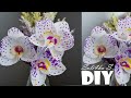 DIY soli4ka_s Орхідея з гофропаперу/ орхидеи с гофробумаги/crepe paper orchid