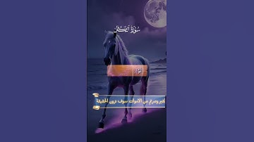 سورة التكاثر تلاوة خاشعة تهز القلوب