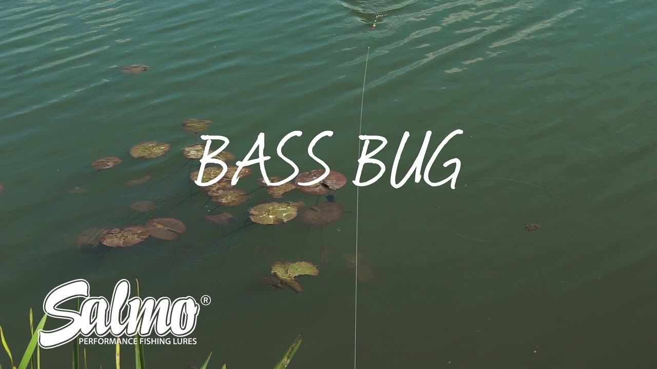 Salmo Bass Bug Floating - Green Bug